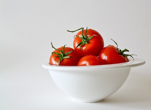 tomat berastagi jumbo
