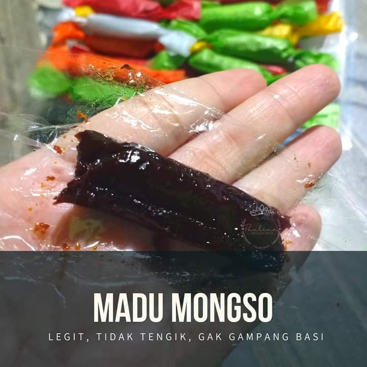 Madu mongso merupakan makanan khas Ngawi yang banyak digemari berbagai kalangan ketika berkunjung ke tempat tersebut.
