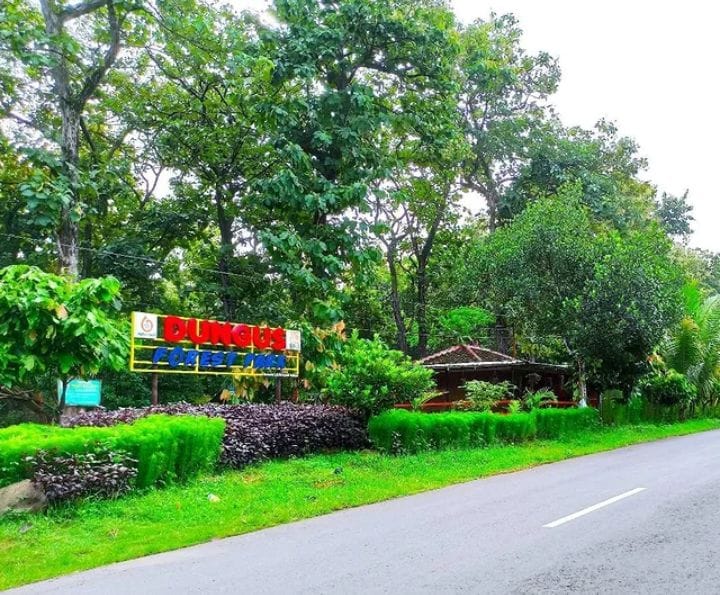 Dungus forest park merupakan tempat wisata di Madiun yang terbaik untuk kamu 
