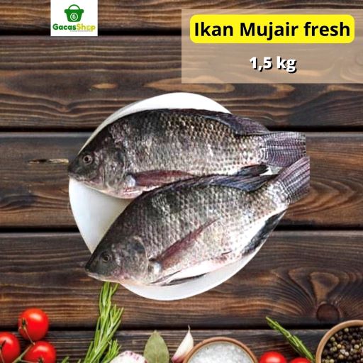 Ikan Mujair 15